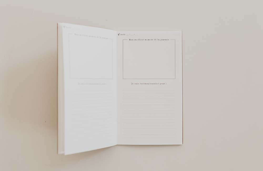 MyblueprintVF - Carnet Rewrite Your Story Gratitude 2 Agenda Rêves Développement Personnel Slow Living Dore