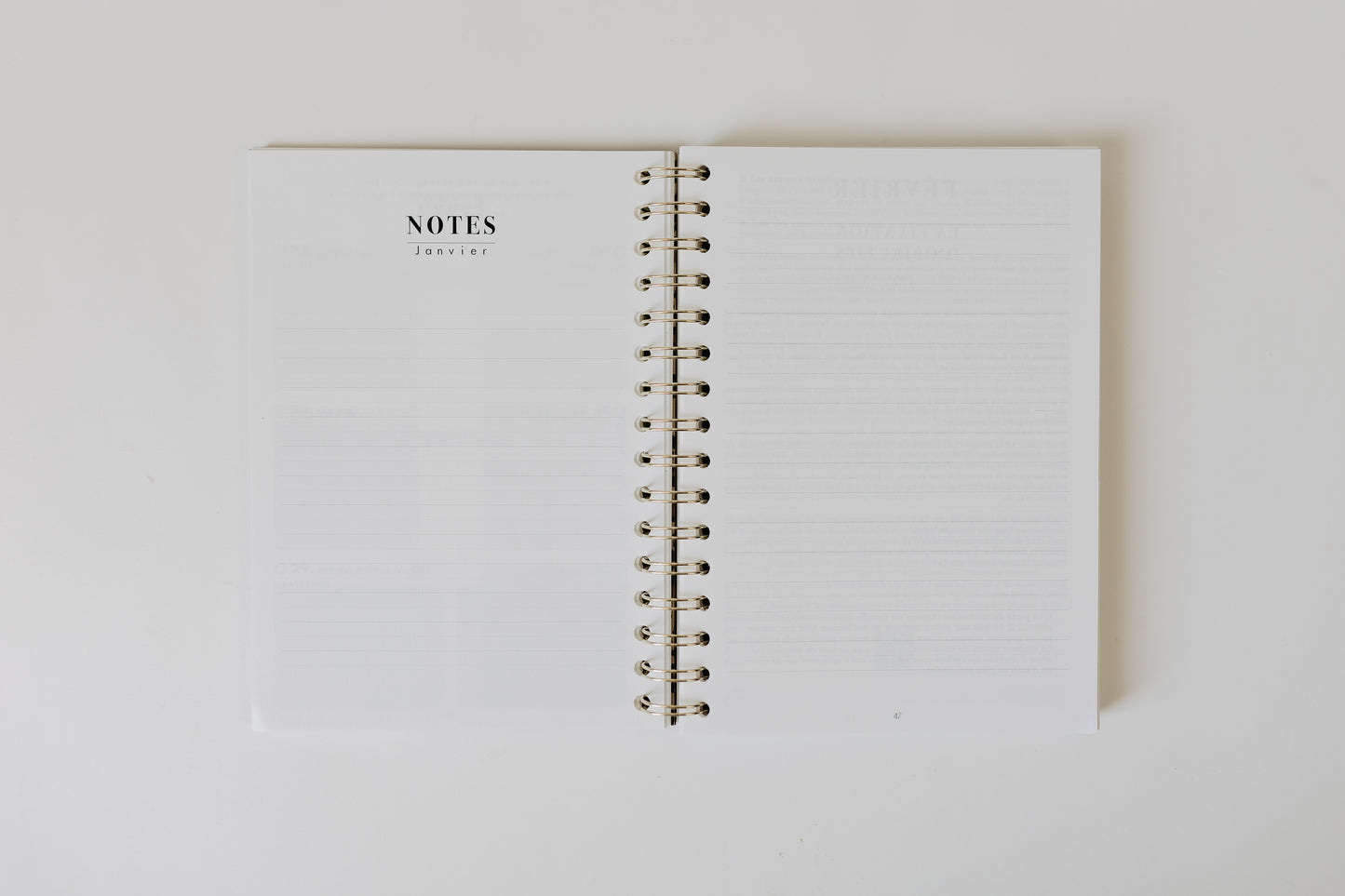 Planner 2026 Rewrite Your Story® - Prevente