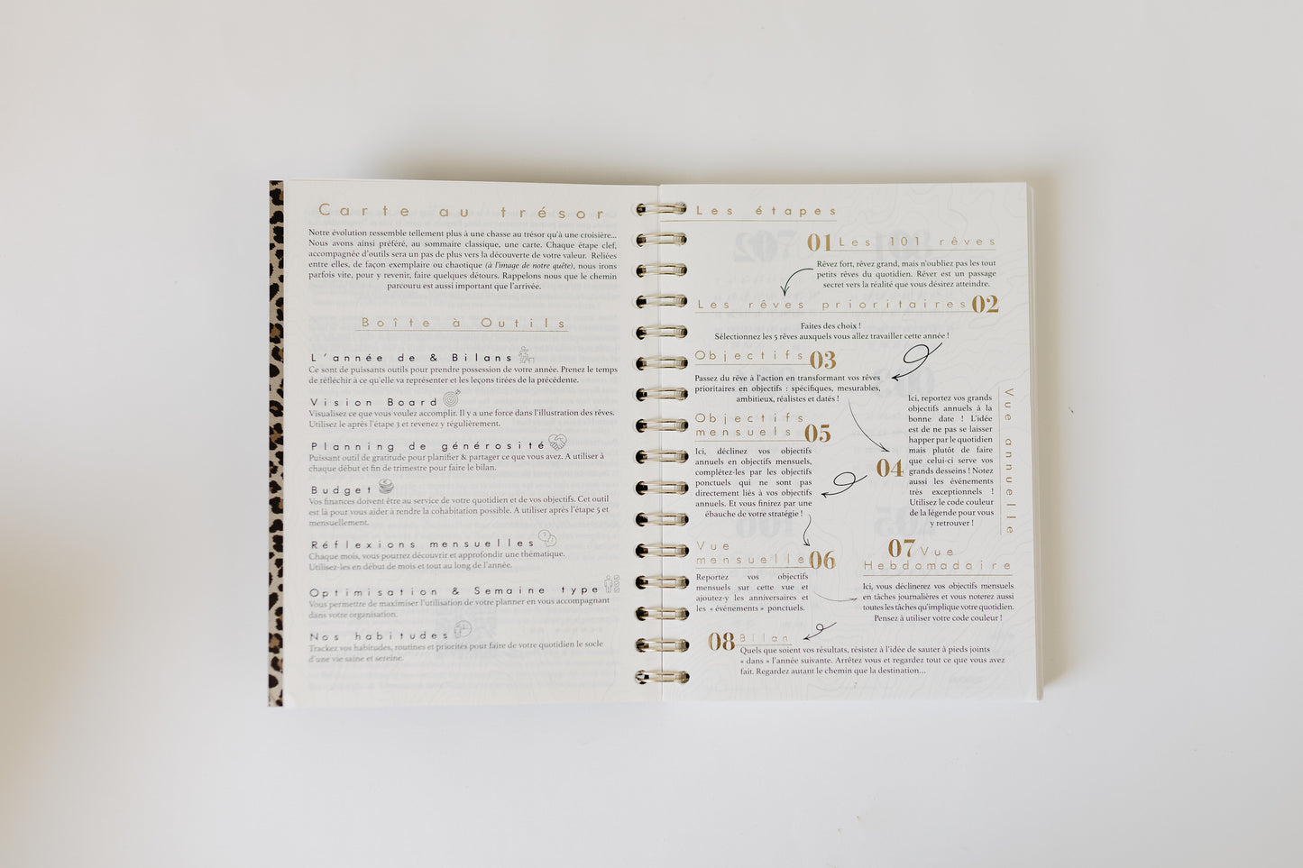 Planner 2026 Rewrite Your Story® - Prevente