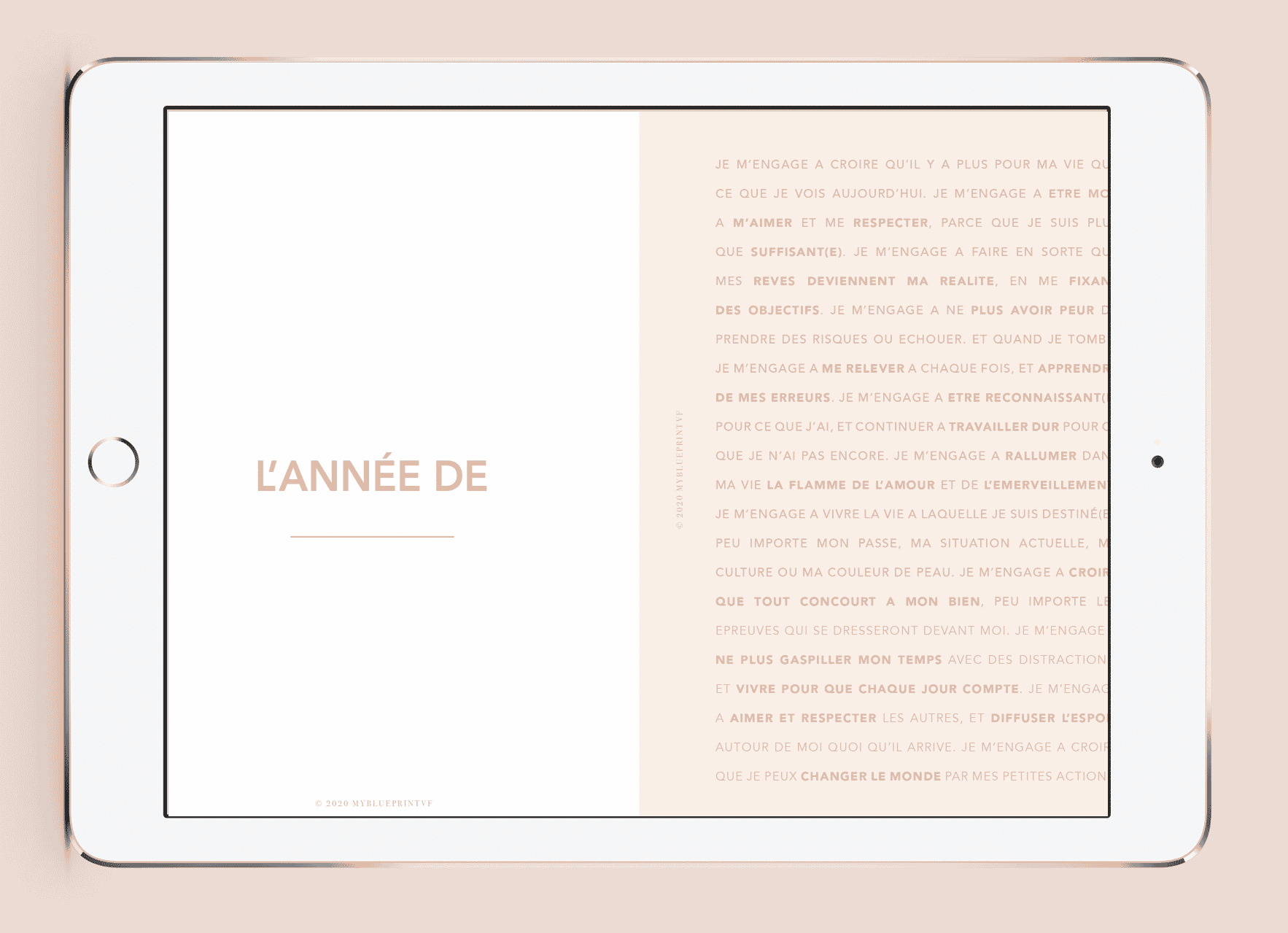 Myblueprintvf - Planner Digital Non-date pdf agenda rêves developpement personnel page annuelle