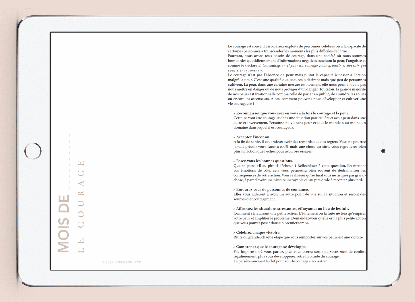 Myblueprintvf - Planner Digital Non-date pdf agenda rêves developpement personnel thématique
