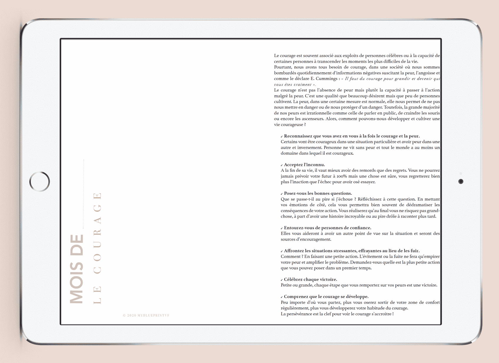 Myblueprintvf - Planner Digital Non-date pdf agenda rêves developpement personnel thématique