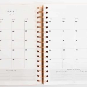 MyblueprintVF - Planner 2022 Rewrite Your Story vue mensuelle Agenda Rêves Développement Personnel Slow Living